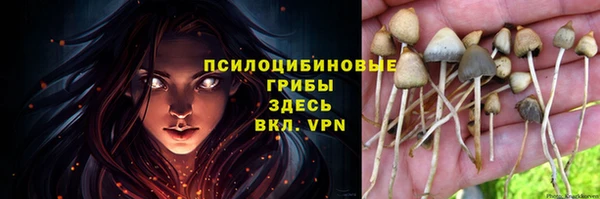 прущая мука Елизово