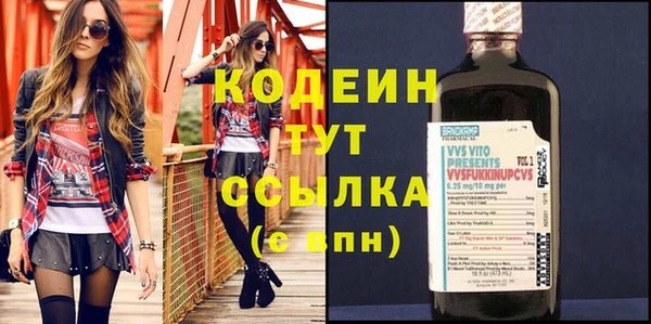 дурь Ельня