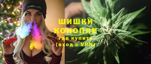 дурь Ельня
