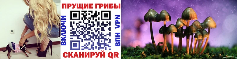 Псилоцибиновые грибы Psilocybe  kraken tor  Троицк 